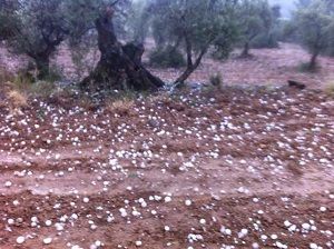 La Fresneda. Foto: Ana Prins
