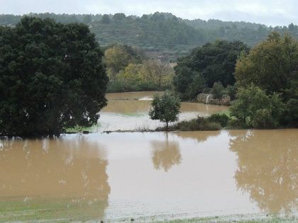 Campos anegados en Cretas. Foto de Juan Luis Camps