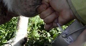 Imagen de "Tierra de contrastes"