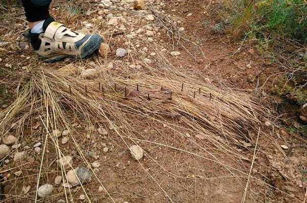 Foto: Biciacción Alcañiz