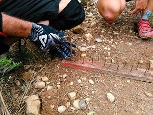 Foto: Biciacción Alcañiz
