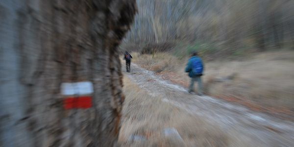 Senderismo en el Bajo Aragón. Bajo Aragón Digital