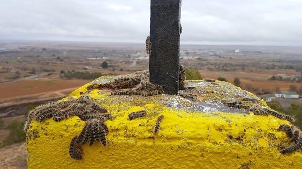 Fotografía: Ricardo Rodríguez