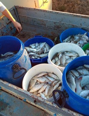 Fotografía: Sociedad Deportiva de Pesca de Alcañiz