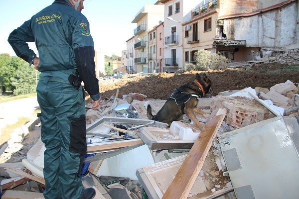 Servicio Cinológico de la Guardia Civil. Foto: Guardia Civil de Zaragoza