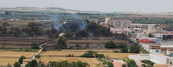 El pinar del Cerrao del Marqués tras el incendio.