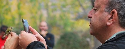 Javier Escorza fotografía a un Reyezuelo