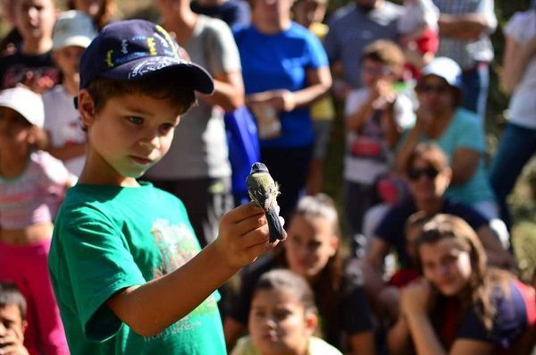 Niños y herrerillo se observan. Fotografía: Ricardo Rodríguez - Káralom