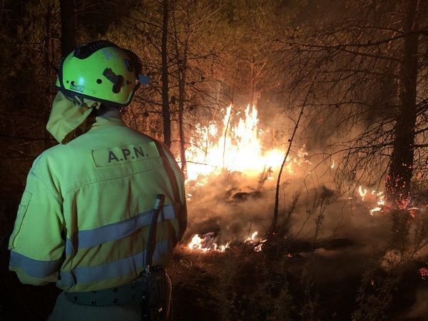 Fotografía: Agentes de Protección de la Naturaleza del Gobierno de Aragón