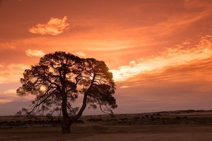 Fotografía: Francisco Granell