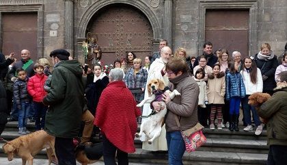 Bendición de Animales en Alcañiz. Foto: Lola Llandrés