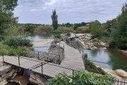 Alcañiz. El Ayuntamiento no limpia el cauce del Guadalope