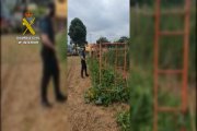 Caspe. Menos marihuana en el huerto